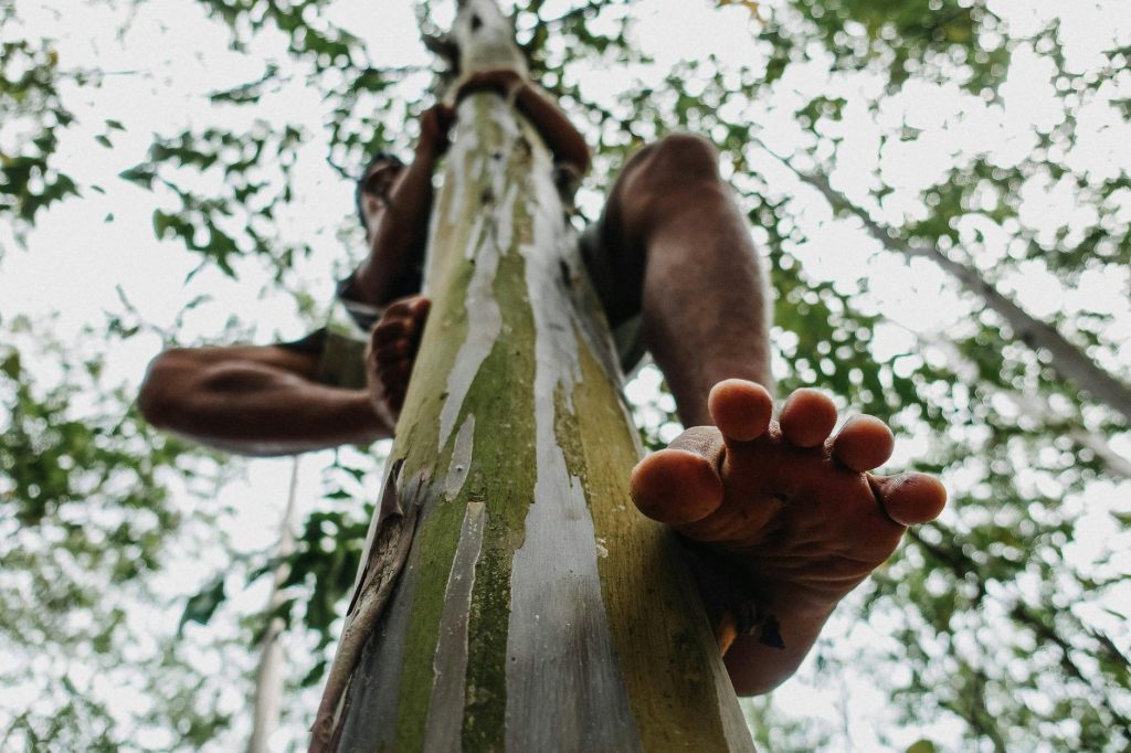 Low angle shot capturing an adult man climbing a tree barefoot with focus on the foot.
