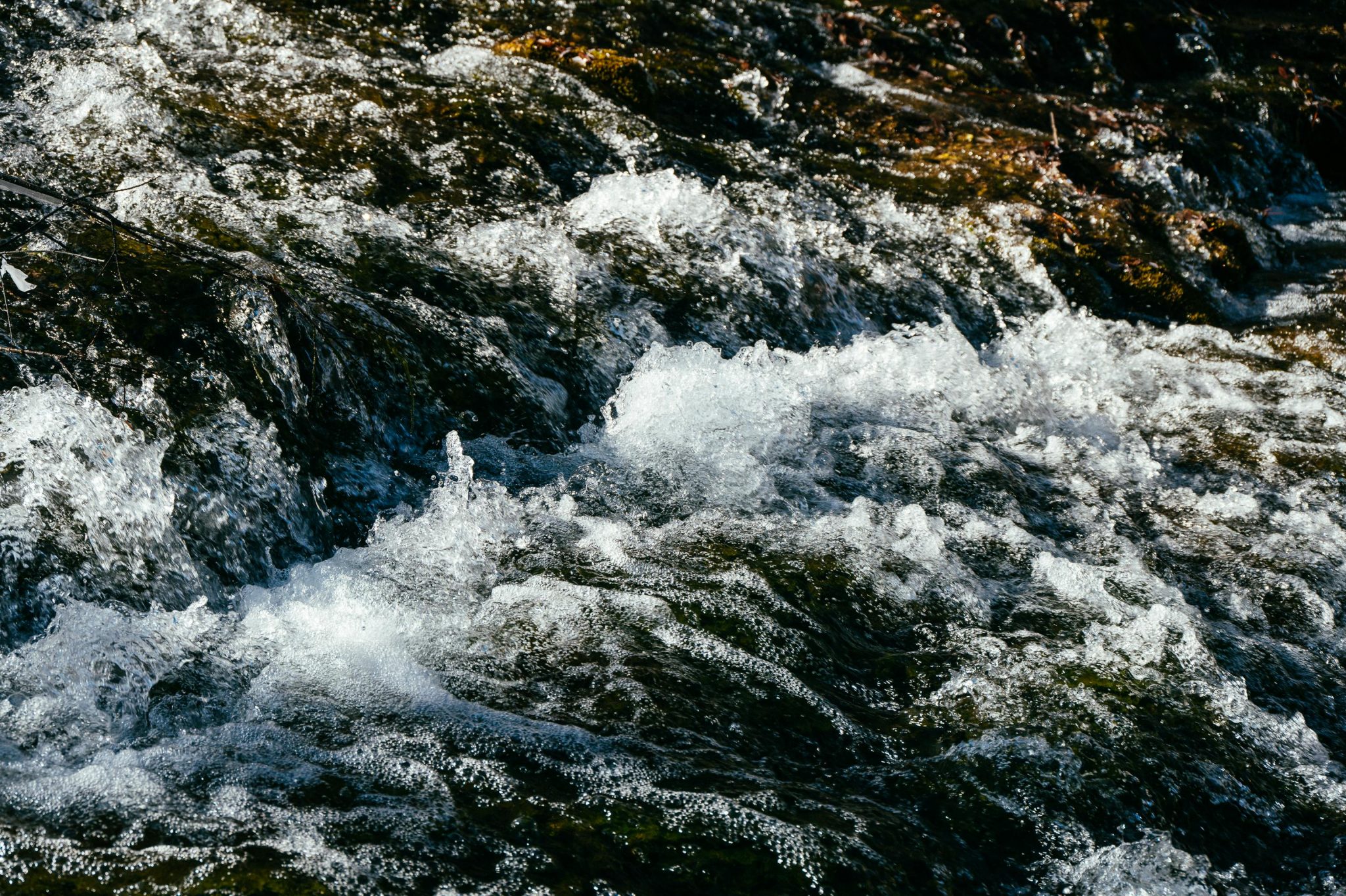 Close-up of a dynamic stream with clear water rushing over rocks.