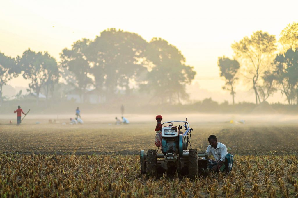 Farmers using a blue tractor in a misty field during early morning with trees in the background.