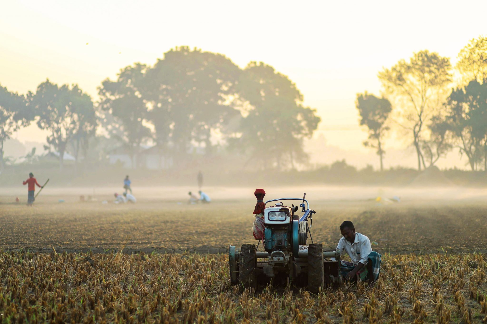 Farmers using a blue tractor in a misty field during early morning with trees in the background.